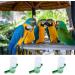 Bird Water Dispenser 4 Pcs Hanging Bird Water Bottles Automatic Bird Water Dispensers for Middle and Small Parrot Budgie Lovebirds Cockatiel Drinking Water - Buy Online on GoSupps.com