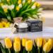 Collagen Cream for face with Marine Collagen & Retinol High Strength Anti-wrinkle Moisturiser for Men and Women Firming Face Cream Anti-Ageing Cream For Face Eyes and Neck 50ml - Buy Online on GoSupps.com