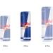 Red Bull Energy Drink 355ml (4 pack) 355ml (Pack of 4) - Buy Online on GoSupps.com