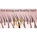 Ancient Wisdom Hair Care Oil - Achieve Healthy Shiny Problem-Free Hair | International Shipping Available - Buy Online on GoSupps.com