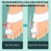 Adjustable Hallux Valgus Correction Rail for Big Toe Straightening - Unisex Day & Night Relief | Comfortable & Effective Solution - Buy Online on GoSupps.com