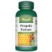 VORST Bee Propolis Extract 500mg 90 Capsules | Antioxidant Supplement for Common Colds & Flu and Boosting Immune System | Alternative to Liquide Tincture & Throat Spay | 1 Bottle 90 count (Pack of 1)