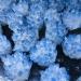 Natural Crystal Rough Natural Cluster Amethyst Ore Purple QuartzStone Raw s Home Can be Used for (Size : 300-400g) - Buy Online on GoSupps.com