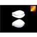 24 White & Purple Wart Cowrie Shells (Vericosus Calprunis) 3/4-1 Inches - Buy Online on GoSupps.com