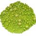 Edible Green Pearl Sugar Sprinkles 120g | Cake Decoration for Birthday Halloween Thanksgiving Christmas & Parties - Buy Online on GoSupps.com
