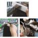 Zalati Metal Rat Tail Comb - Heat Resistant Highlight Foiling Weaving Comb for Hair Salon and Barbershop - Buy Online on GoSupps.com