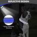 Buy Joytale Royal Blue Dog Collar - Softly Padded Neoprene for Medium Dogs | Nylon Reflective Wide Design - 1 Pack - Buy Online on GoSupps.com