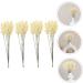 Amosfun 24pcs Wheat Ear Flower Silk Flower Office Decore Window Trim Decor for Living Room Fake Wheat Ear Wheat Decoration Natural Decorate Artificial Flower Straw Flower Arrangement Beige 30X1.5CM - Buy Online on GoSupps.com