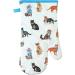 Pack of 12 Chicken Adult Dry Cat Food 300g - Complete dry pet food for adult cats 1+ 12x300g 3.6 kg Cat theme Single Oven gloves Chicken 1 count (Pack of 13) - Buy Online on GoSupps.com