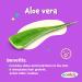 Kanica Gel with Green Tea, Aloe Vera, Avocado, and Wheat Germ - Paraben & Alcohol Free - Buy Online on GoSupps.com