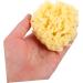 Healeved Moisturizer Body Sea for Bathing Natural Bath Sponge Shower Sponge for Body Bath for Bathing Natural for Body Sponge Shower Sponge Bath - Buy Online on GoSupps.com
