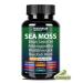 Sea Moss Capsules with Sea Moss Black Seed Oil Ashwagandha Bladderwrack Burdock Root Ginger Vitamins C & D3 All in 1 Sea Moss Supplement for Immune System & Energy Support - 90 Capsules