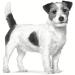 ROYAL CANIN Veterinary Gastrointestinal Low Fat Small Dogs | 3.5 kg | for Small Dogs with Gastrointestinal Issues | May Help Maintain Healthy Digestion - Buy Online on GoSupps.com