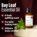 H ana Essential Laurel Oil 30 ml - Spicy Herbaceous Fragrance for Diffuser & Hair | Premium Essential Oil by Bayleaf - Buy Online on GoSupps.com