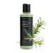 Shampoo for Fine Hair 100ml Plant-Based Cream Natural Anti-Frizz | For Men Root Breakage Shine Dryness Oily Hair