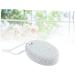 FRCOLOR 1pc Pedicure Tools Hard Skin Remover Pumice for Foot t Tool Foot Pumice pumus Stone Earth Pumice Stone Pumice Stone for Feet Earth Stone Manual Scrub - Buy Online on GoSupps.com
