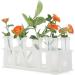 10-Pack 60ml Floral Tubes with Rack Holder for Milkweed Cuttings - Buy Online on GoSupps.com