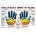 Magnetic Acupressure Balls & Hedgehog Massage Rings Set - Stress Relief & Relaxation | 2 Pcs Acupressure Balls & 3 Pcs Finger Massage Rings (Gold) | International Shipping - Buy Online on GoSupps.com
