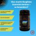 Berglwe Essential Aminos+ | Plant-Based EAA Powder with Extra Glutamine | 9 Essential Amino Acids | Vegan Bitterlemon 213g - International Shipping Available - Buy Online on GoSupps.com