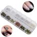 Nail Art Rhinestones 12 Grids DIY Decoration Glitter Manicure Tool Fashionable and Delicate Safe for Household and Salon - Buy Online on GoSupps.com
