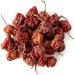 Moruga Scorpion Chilli Pods Whole 10g - Buy Online on GoSupps.com