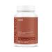 HEAL + CO. Reishi Supplement | High Potency 4:1 extract 4000 mg per serving | Stress + Immunity | 120 x 500 mg Capsules
