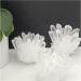 Natural Crystal Rough 270-330g 1pc Natural White Quartz Crystal Cluster Specimen Decoration - Buy Online on GoSupps.com