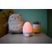 GroEgg 2 Room Thermometer: Accurate Temperature Monitoring - Buy Online on GoSupps.com