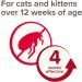 Beaphar Cat Spot On Four Week Protection Flea Repel Solution - Buy Online on GoSupps.com
