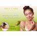 Jade Roller for Face - Authentic Jade Stone Massager for Lymphatic Drainage & Facial Beauty - Buy Online on GoSupps.com