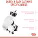 Royal Canin Mother and Babycat Dry Cat Food 4kg - Buy Online on GoSupps.com