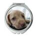 YENDOSTEEN Mirror Travel Mirror Dog Puppy Blue Eyes Blue Eye Pet Look Cute Pocket Mirror portable mirror