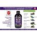 Immunia Synergy Elderberry Supplement for Immune Support - Antioxidant Rich Blend with Canadian Elderberries - Buy Online on GoSupps.com