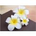 cuhair(TM) 3pcs Plumeria Women Girls Hair Clip Hairpins Hairclip Hair Accessories