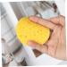 FRCOLOR 80 Pcs Round Makeup Sponges - Exfoliating Face & Cleansing Sponge Set for Makeup Removal | International Shipping Available - Buy Online on GoSupps.com