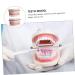 Kichouse Toy 1 PC Tooth Model - Standard Typodonto Dental Health Model for Kids | Eco-Friendly Plastic - Buy Online on GoSupps.com