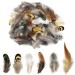 180pcs 6 Style Natural Feathers Assorted Mixed Feathers for Dream Catcher Crafts Decoration (6 Styles/180 Pcs)