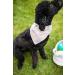 Pearhead Pet Pastel Plaid Bandana | Medium/Large Slide-On Dog Accessory & Apparel - Buy Online on GoSupps.com