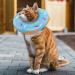 Xinzistar Soft Cat Protective Collar - Adjustable Anti-Bite Safety Collar for Cats Dogs and Kittens (Blue Donut XS) - Buy Online on GoSupps.com