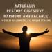 Natural Rhythm Magnesium Taurate 120 Capsules + Digestive Calm 60 Capsules Bundle - Buy Online on GoSupps.com
