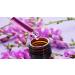 Olive No. 23 Princeps Original Bach Flower Olive Drops - Premium Natural Remedy for Stress Relief | Fast International Shipping - Buy Online on GoSupps.com