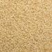 Wholefood Earth Organic Hulled Sesame Seeds 500g - Raw, GMO Free, Vegan | Certified Organic - Buy Online on GoSupps.com