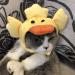 Cute Animal Headgear Hat for Cats & Dogs | Sweet Duck Costume with Wings - Perfect Pet Decoration - Buy Online on GoSupps.com