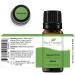 Plant Therapy Spearmint Essential Oil 10 mL - 100% Pure Undiluted Therapeutic Grade | International Shipping Available - Buy Online on GoSupps.com