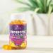 Nature's Nutrition Daily Probiotic Gummies - Extra Strength 5 Billion CFU for Digestive Health & Immune Support - 60 Gummies, Natural Orange Flavor - Gluten Free & Non-GMO - Buy Online on GoSupps.com