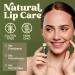 USDA Organic Eucalyptus Mint Lip Balm 4-Pack - Beeswax & Coconut Oil for Dry Lips | Earth's Daughter - Buy Online on GoSupps.com