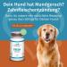 Dog Fit by Prethis - Fresh Breath & Gingivitis Solution for Dogs | Antibacterial Herbs | 60g - Buy Online on GoSupps.com