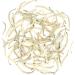Yan Hou Tang Chinese White Silver Needle Tea Loose Leaf - 100g Natural Premium High Mountain Leaves Antioxidants for Teeth & Skin Health White Tea - Buy Online on GoSupps.com