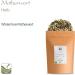 Motherwort Herb Organic Herbal Tea - Dried Mother Worth 350g - Buy Online on GoSupps.com