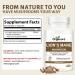 ORGACORE Real Lion s Mane Mushroom Extract Capsules (120 Count) Hericium Erinaceus with Beta Glucans Brain & Immune Support Supplement for Memory Focus & Overall Cognitive Health - Buy Online on GoSupps.com
